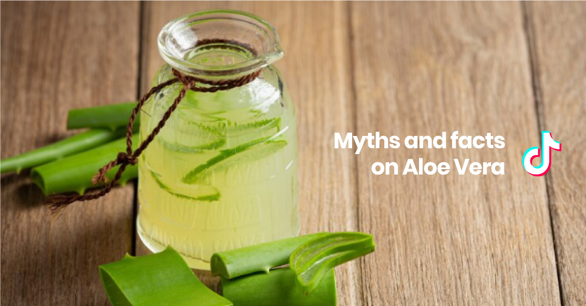 You are currently viewing TikTok buzz on Aloe Vera: is it good for you?