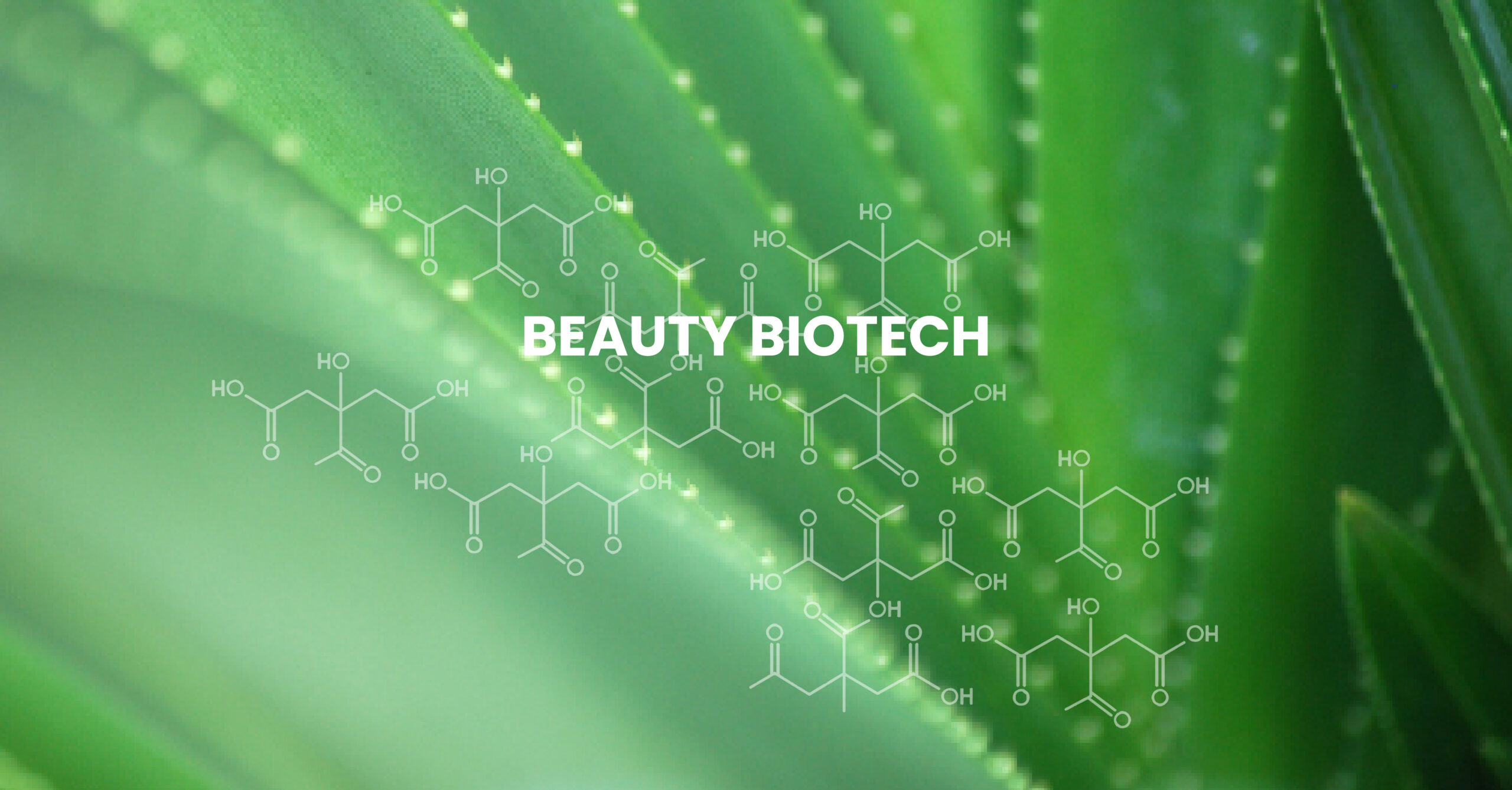 You are currently viewing Our origin story: From Nature’s Riches to Sustainable Beauty